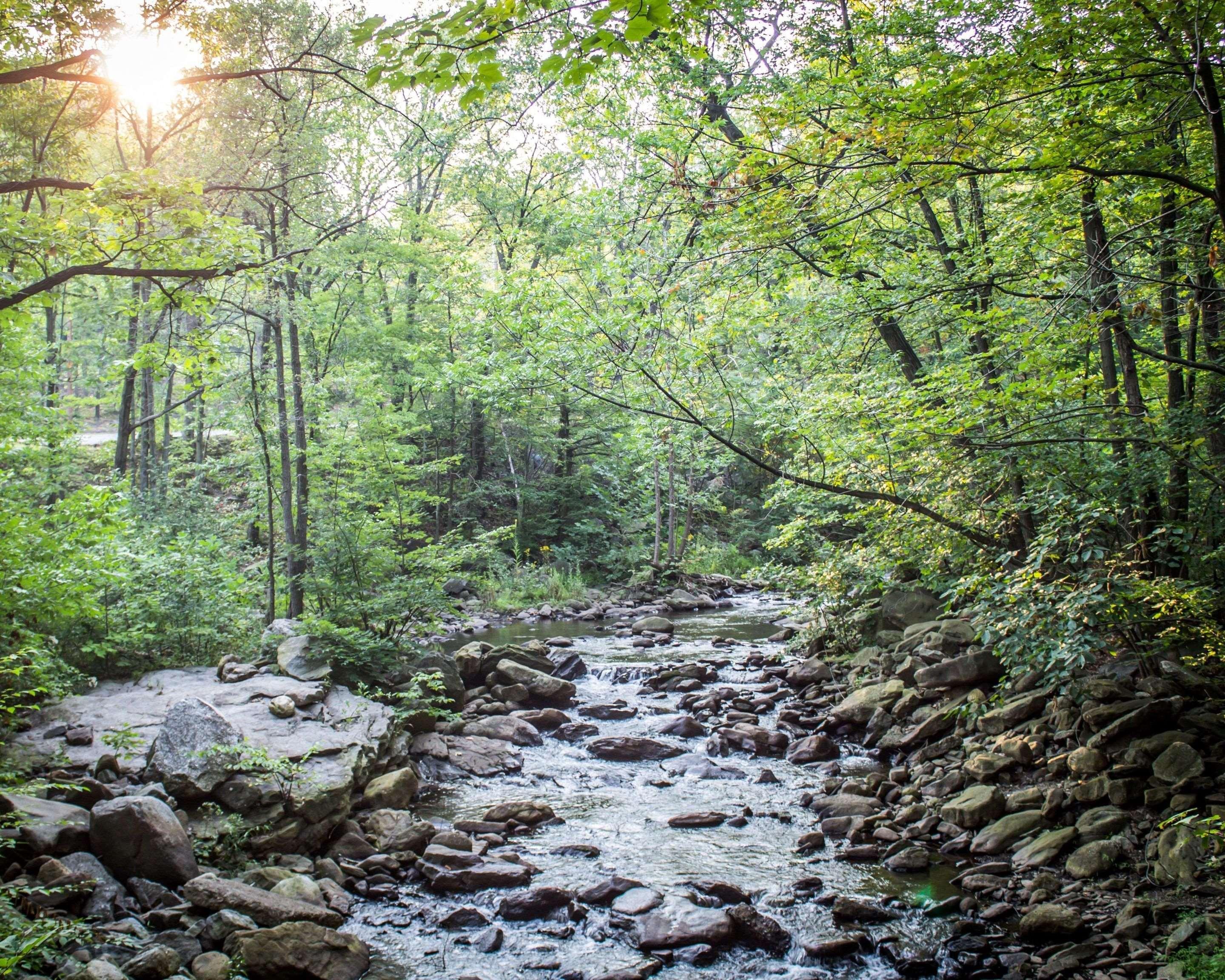 The Woodlands Inn Wilkes-Barre Dış mekan fotoğraf